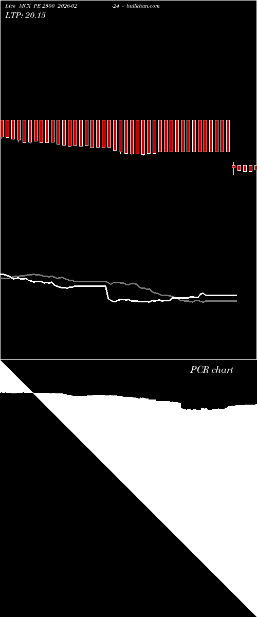  option chart MCX PE 2300 2026-02-24 