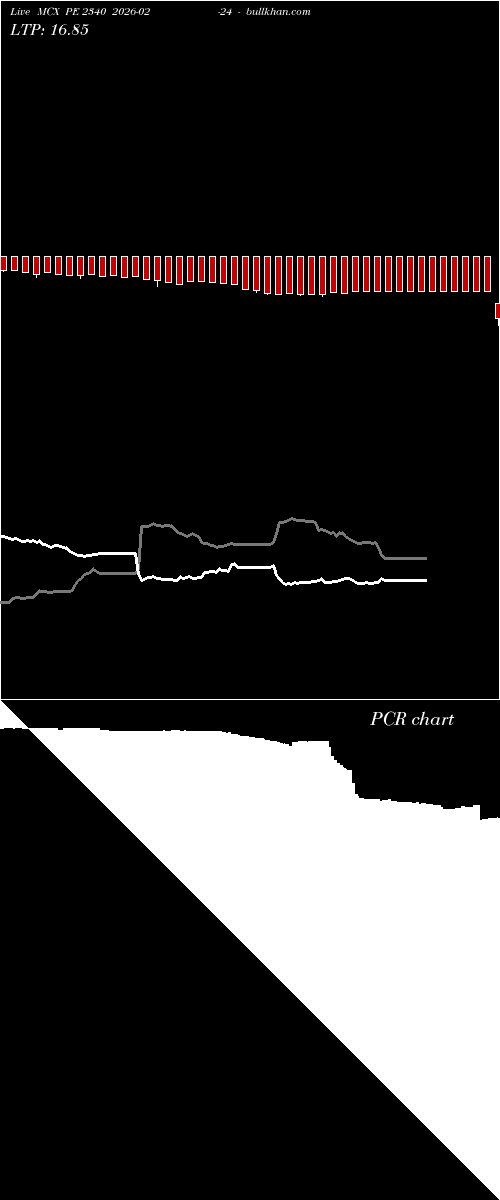  option chart MCX PE 2340 2026-02-24 