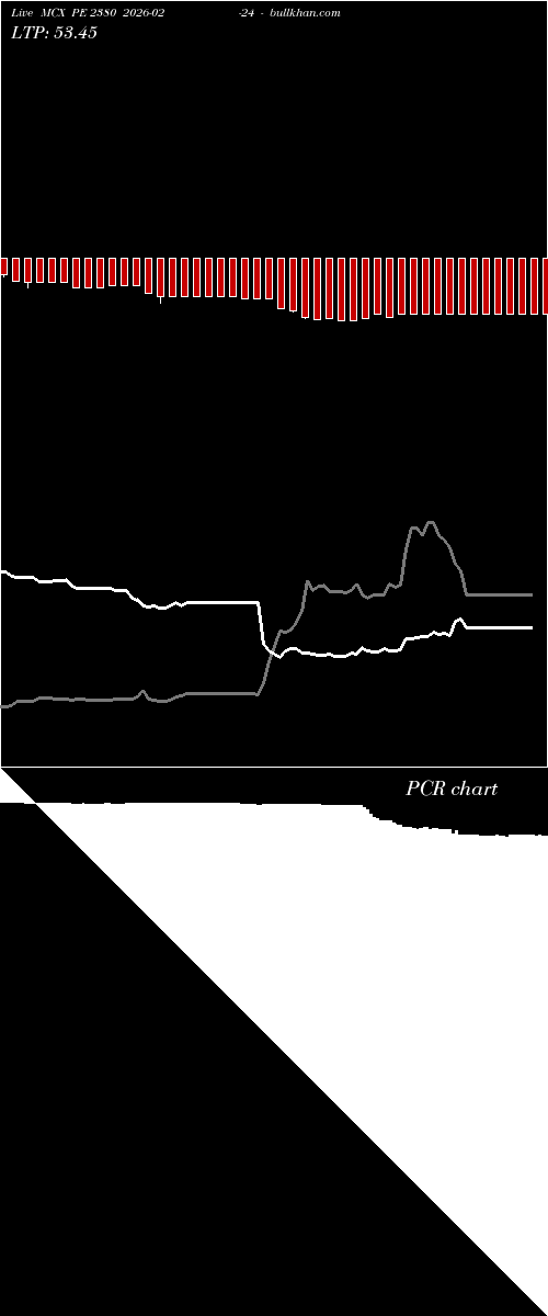  option chart MCX PE 2380 2026-02-24 