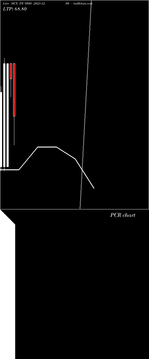  option chart MCX PE 9300 2025-12-30 
