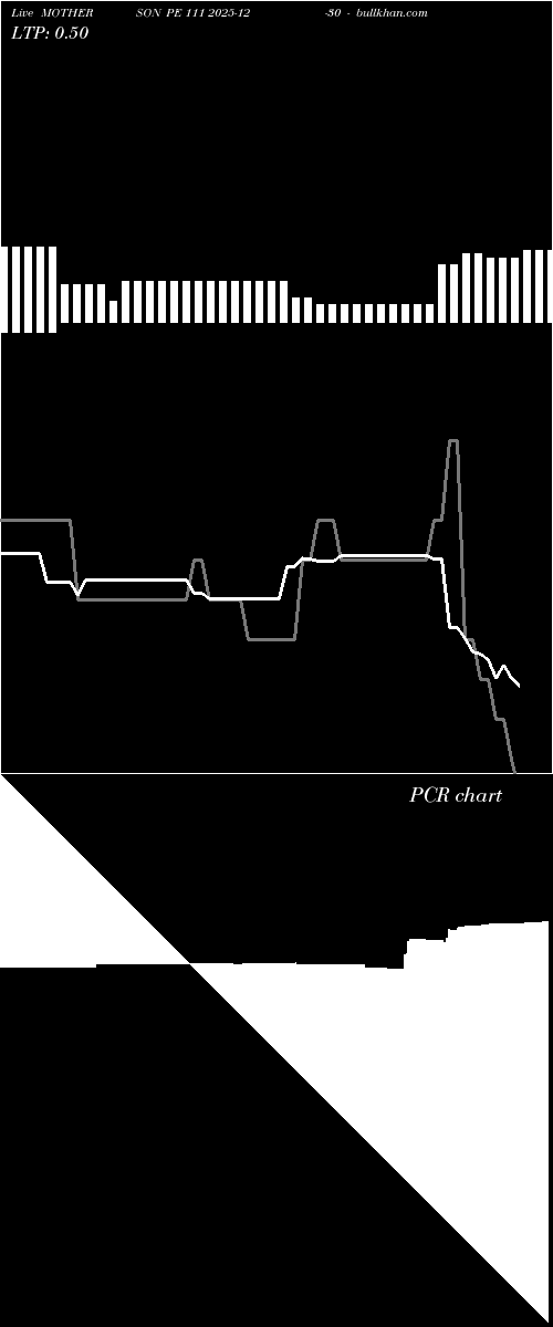  option chart MOTHERSON PE 111 2025-12-30 