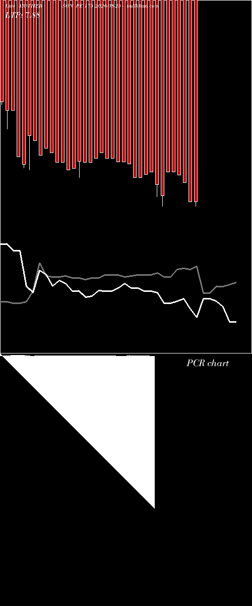  option chart MOTHERSON PE 175 2026-08-25 