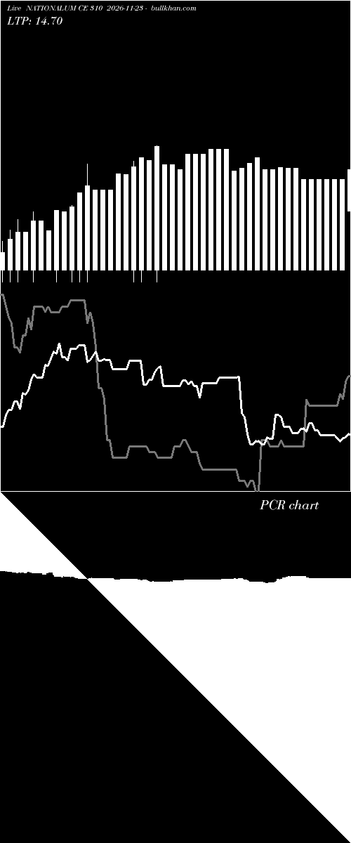  option chart NATIONALUM CE 310 2026-11-23 