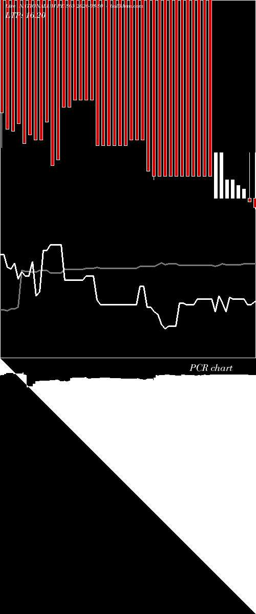  option chart NATIONALUM PE 365 2026-03-30 