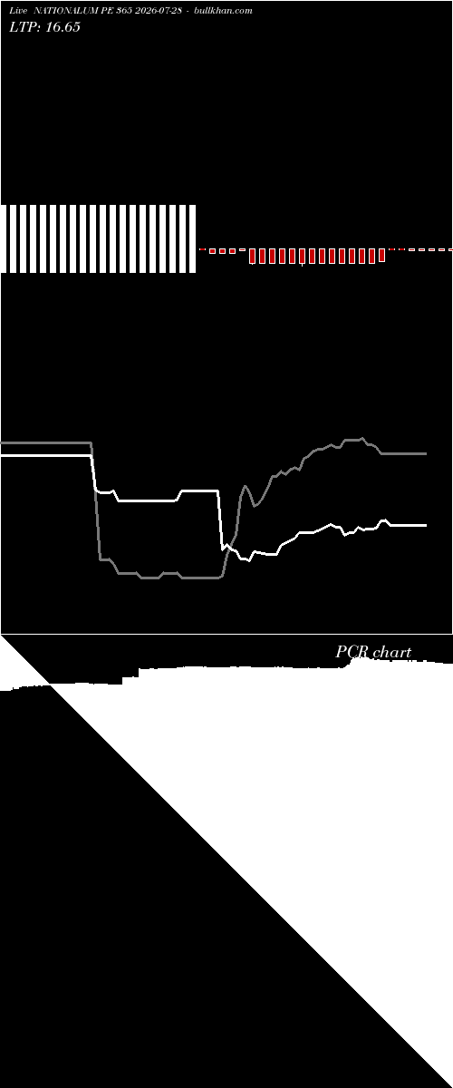  option chart NATIONALUM PE 365 2026-07-28 