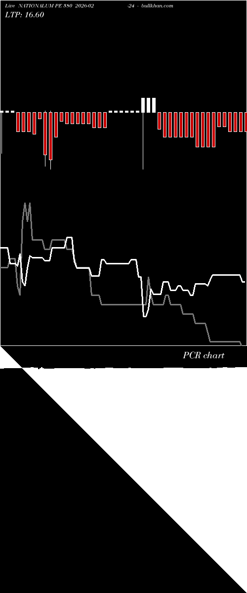  option chart NATIONALUM PE 380 2026-02-24 