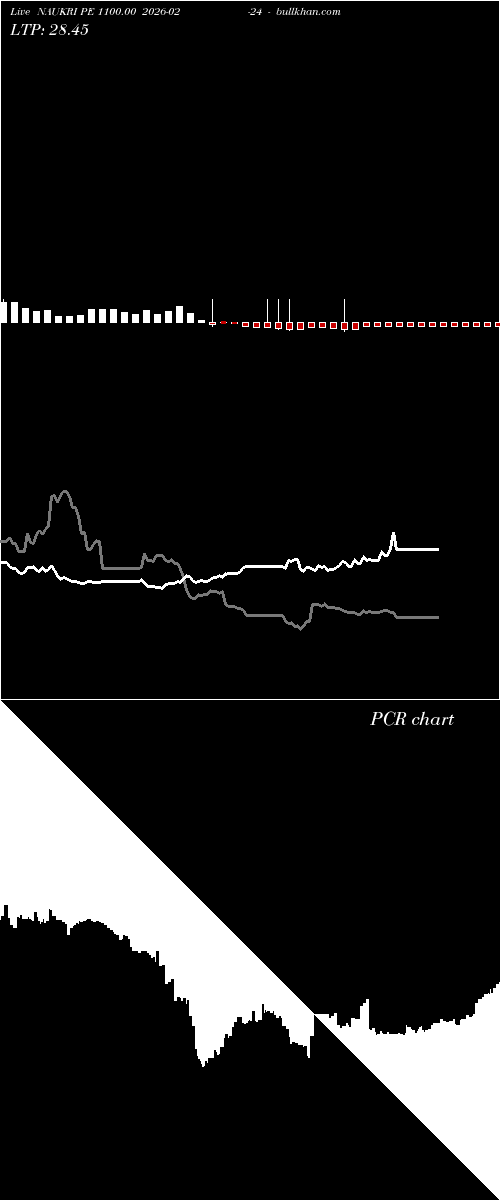  option chart NAUKRI PE 1100.00 2026-02-24 