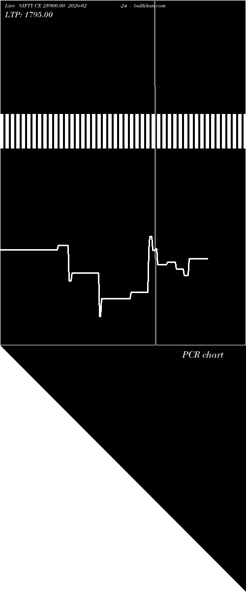  option chart NIFTY CE 23900.00 2026-02-24 