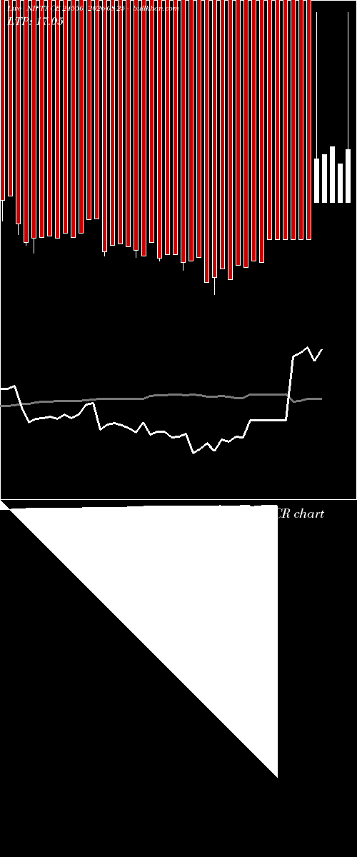  option chart NIFTY CE 24550 2026-08-25 