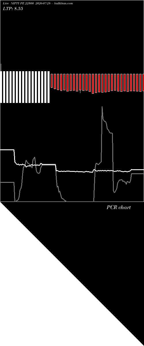  option chart NIFTY PE 22300 2026-07-28 