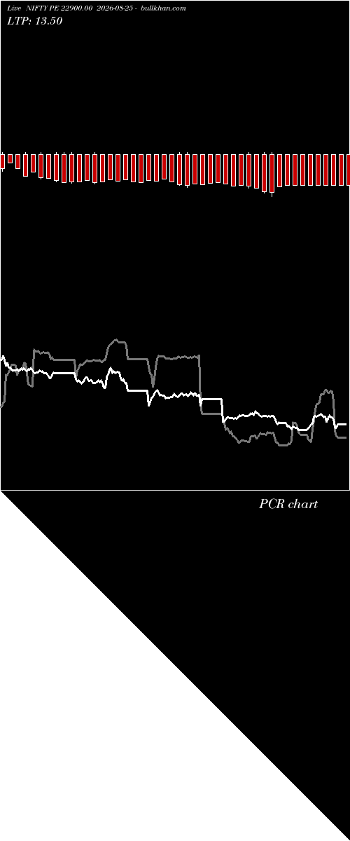  option chart NIFTY PE 22900.00 2026-08-25 