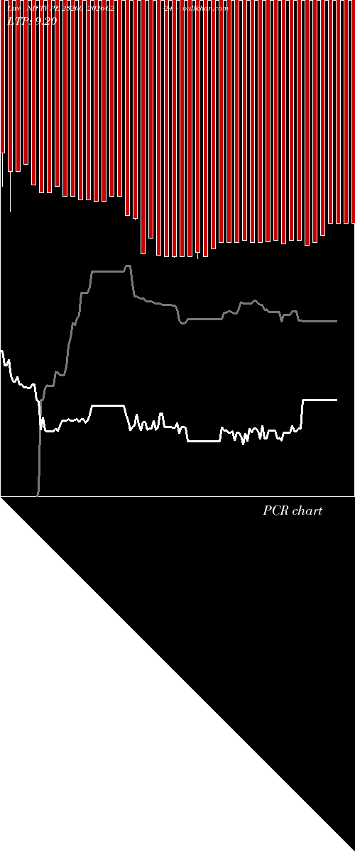  option chart NIFTY PE 23200 2026-02-24 