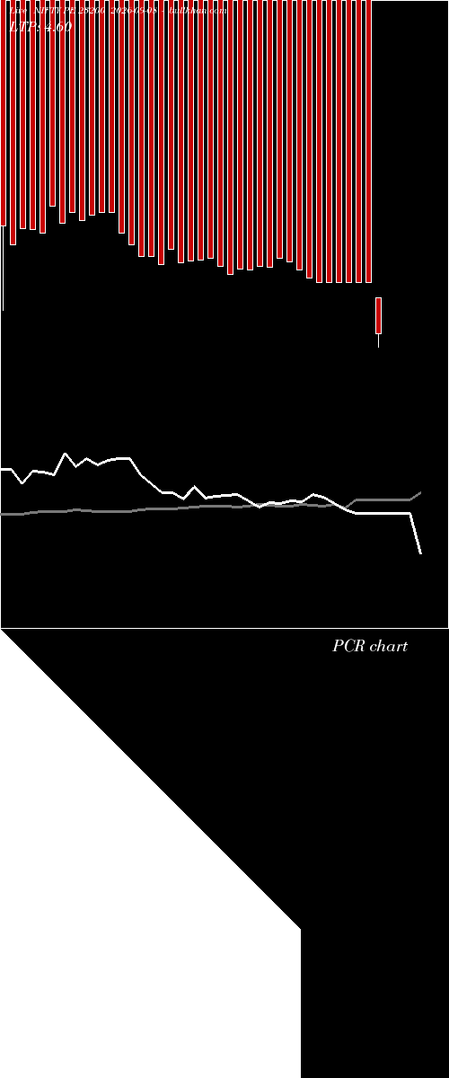  option chart NIFTY PE 23200 2026-09-08 