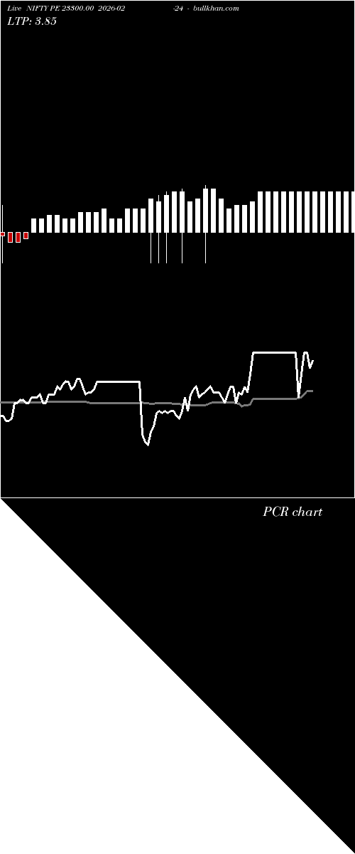  option chart NIFTY PE 23300.00 2026-02-24 