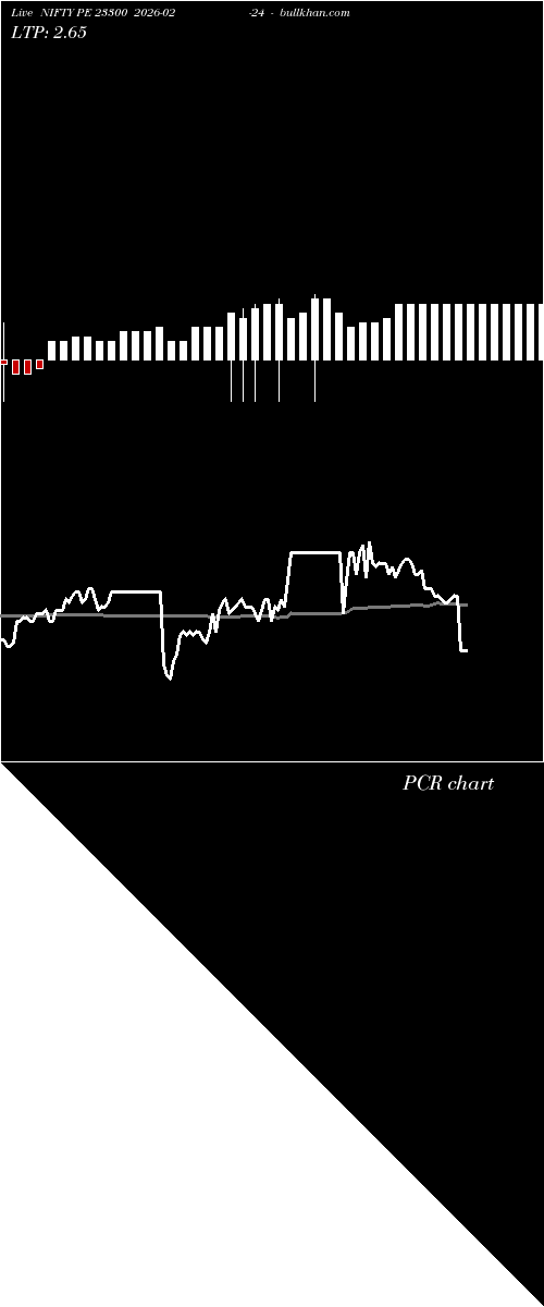  option chart NIFTY PE 23300 2026-02-24 