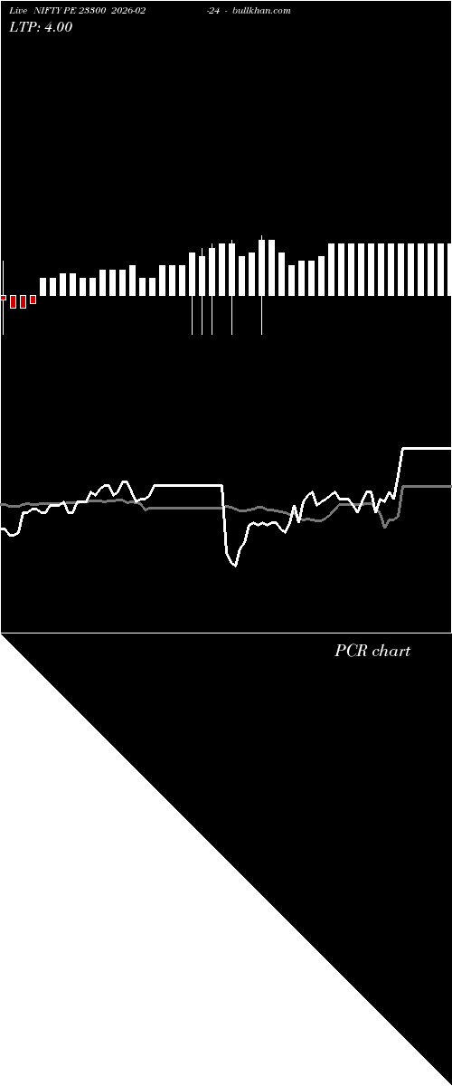  option chart NIFTY PE 23300 2026-02-24 