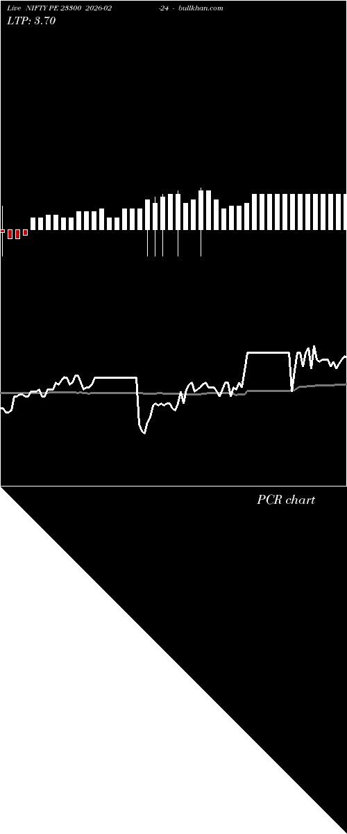  option chart NIFTY PE 23300 2026-02-24 