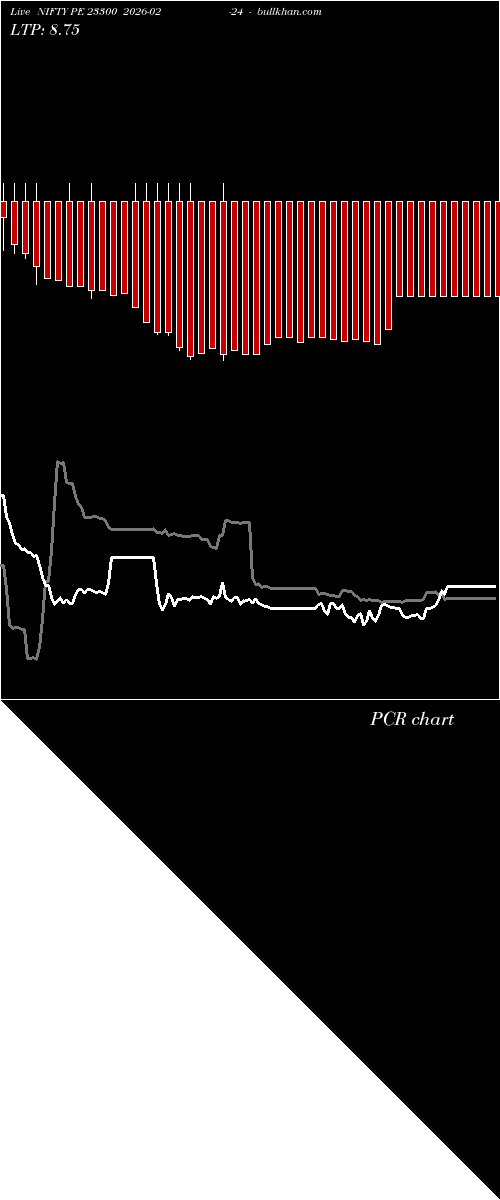  option chart NIFTY PE 23300 2026-02-24 