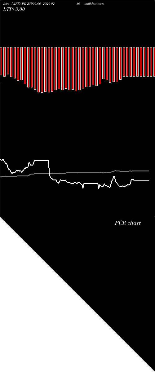  option chart NIFTY PE 23900.00 2026-02-10 