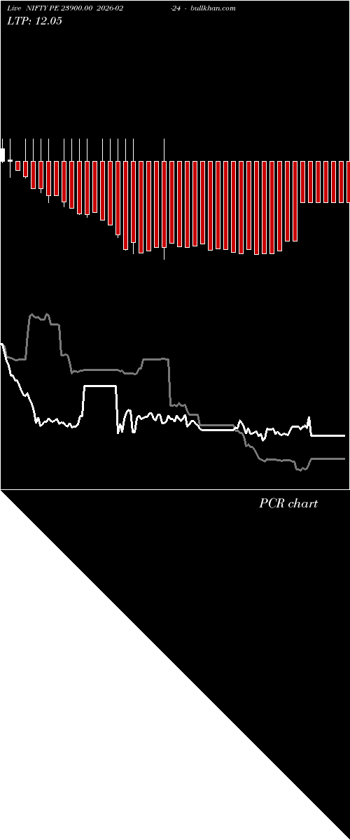  option chart NIFTY PE 23900.00 2026-02-24 