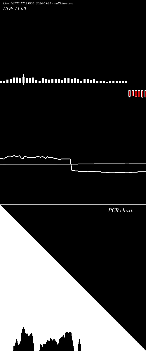  option chart NIFTY PE 23900 2026-08-25 