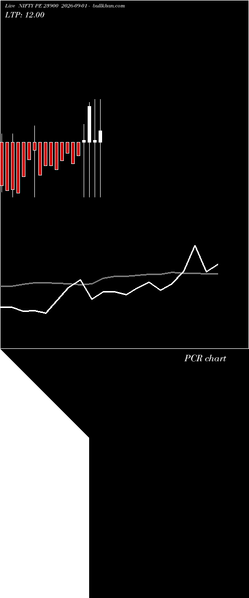  option chart NIFTY PE 23900 2026-09-01 
