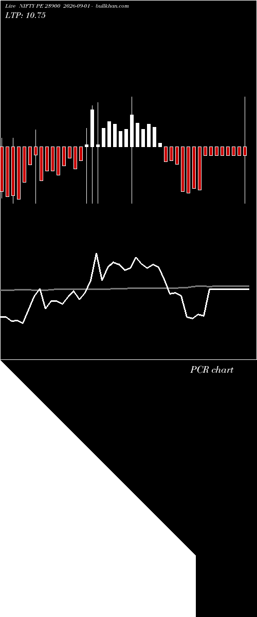  option chart NIFTY PE 23900 2026-09-01 