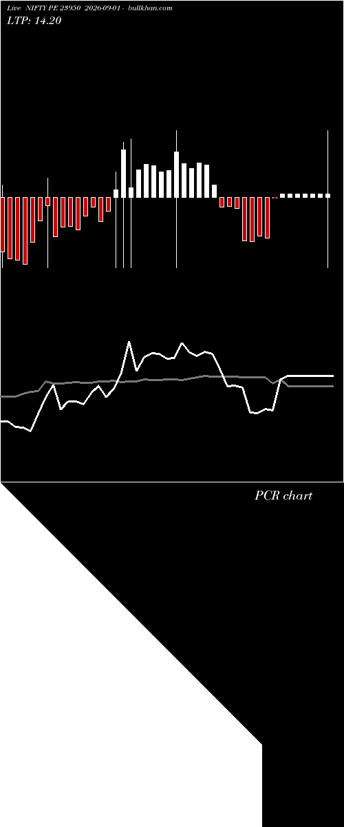  option chart NIFTY PE 23950 2026-09-01 