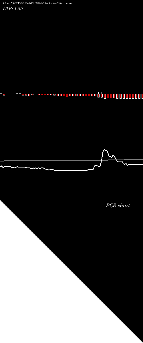  option chart NIFTY PE 24000 2026-01-13 