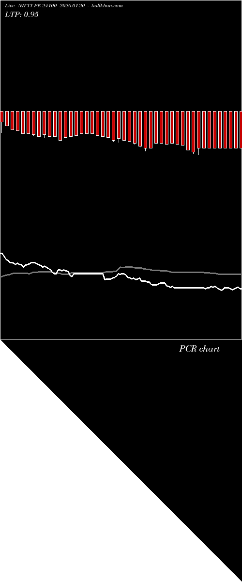 option chart NIFTY PE 24100 2026-01-20 
