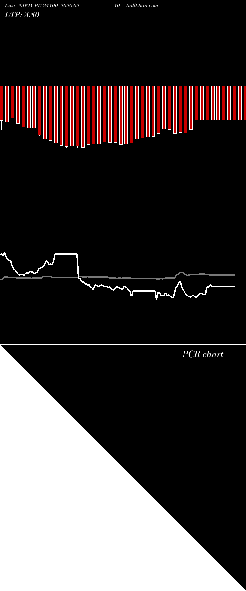  option chart NIFTY PE 24100 2026-02-10 