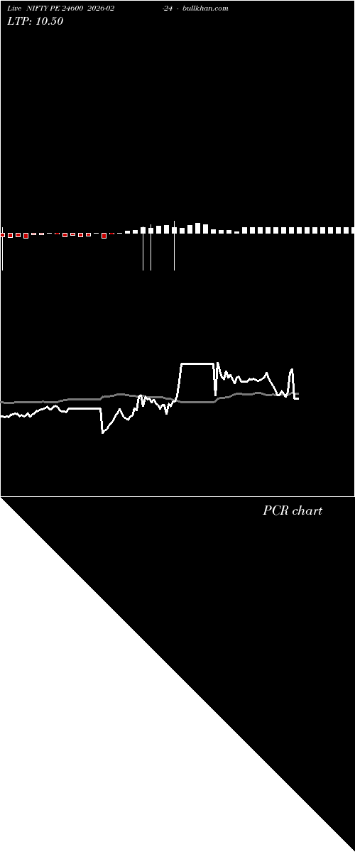  option chart NIFTY PE 24600 2026-02-24 