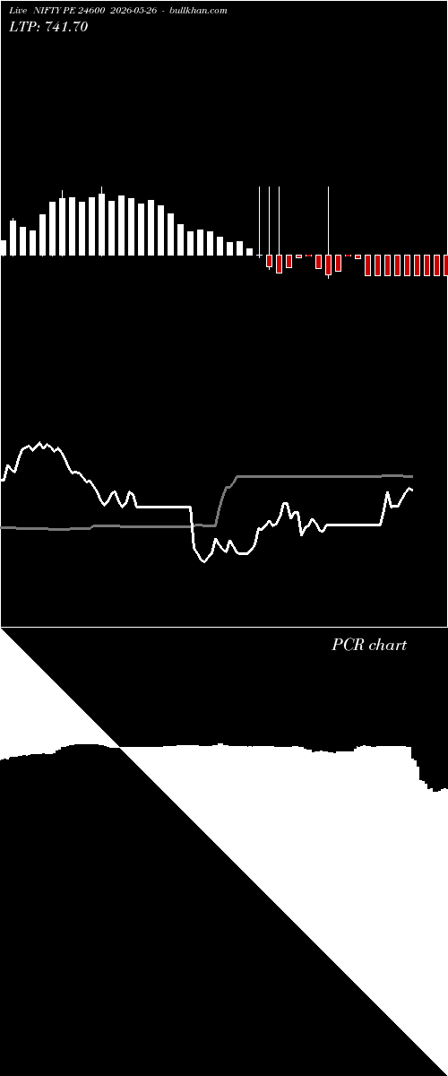  option chart NIFTY PE 24600 2026-05-26 