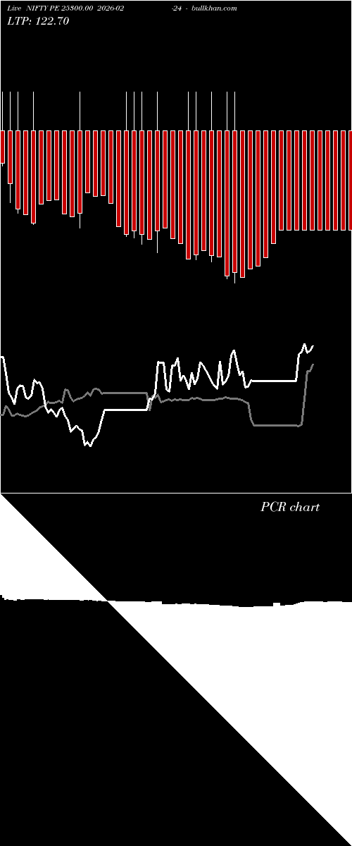  option chart NIFTY PE 25300.00 2026-02-24 
