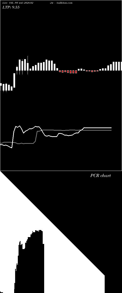  option chart OIL PE 445 2026-02-24 