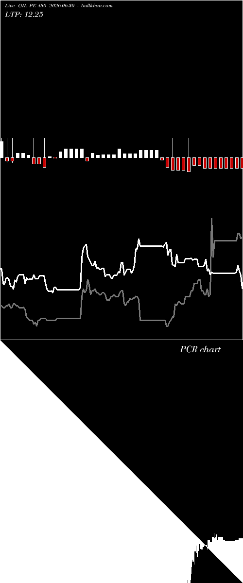  option chart OIL PE 480 2026-06-30 