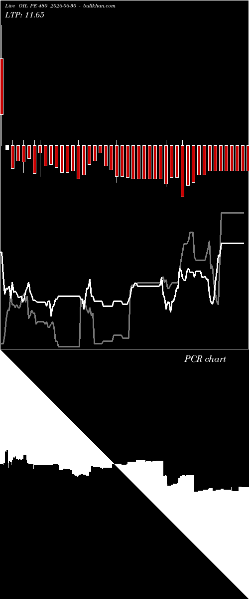  option chart OIL PE 480 2026-06-30 