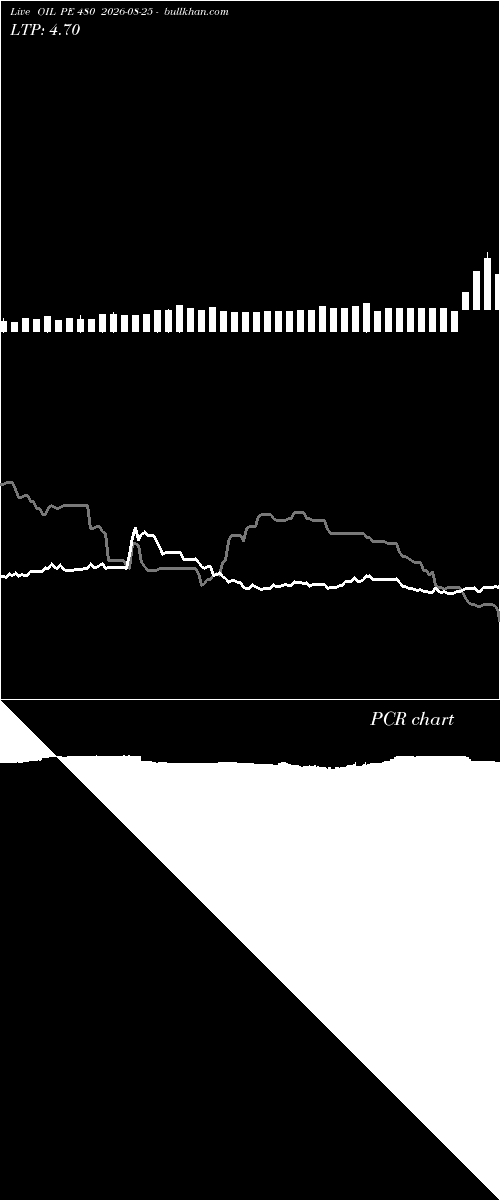  option chart OIL PE 480 2026-08-25 