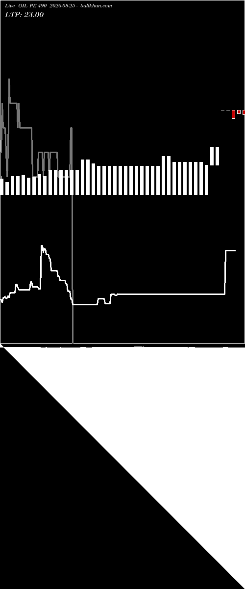  option chart OIL PE 490 2026-08-25 