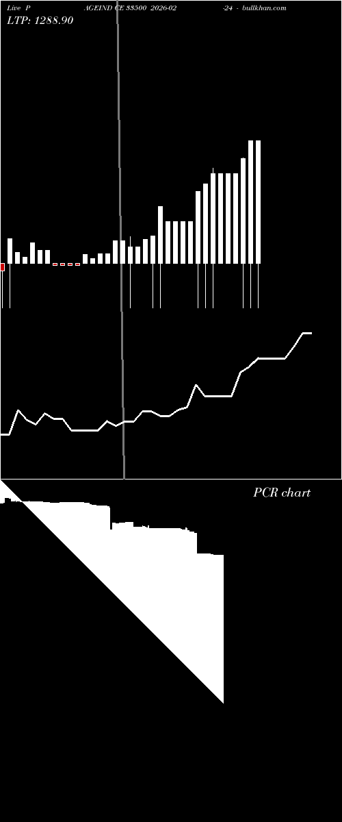  option chart PAGEIND CE 33500 2026-02-24 