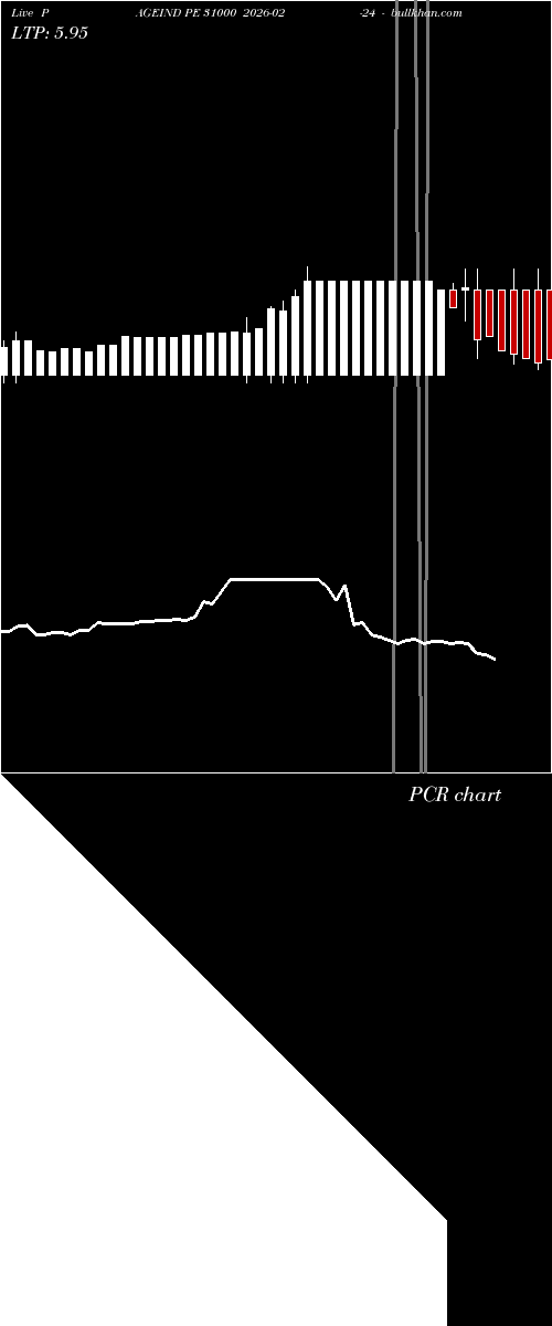  option chart PAGEIND PE 31000 2026-02-24 