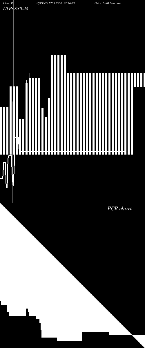  option chart PAGEIND PE 31500 2026-02-24 