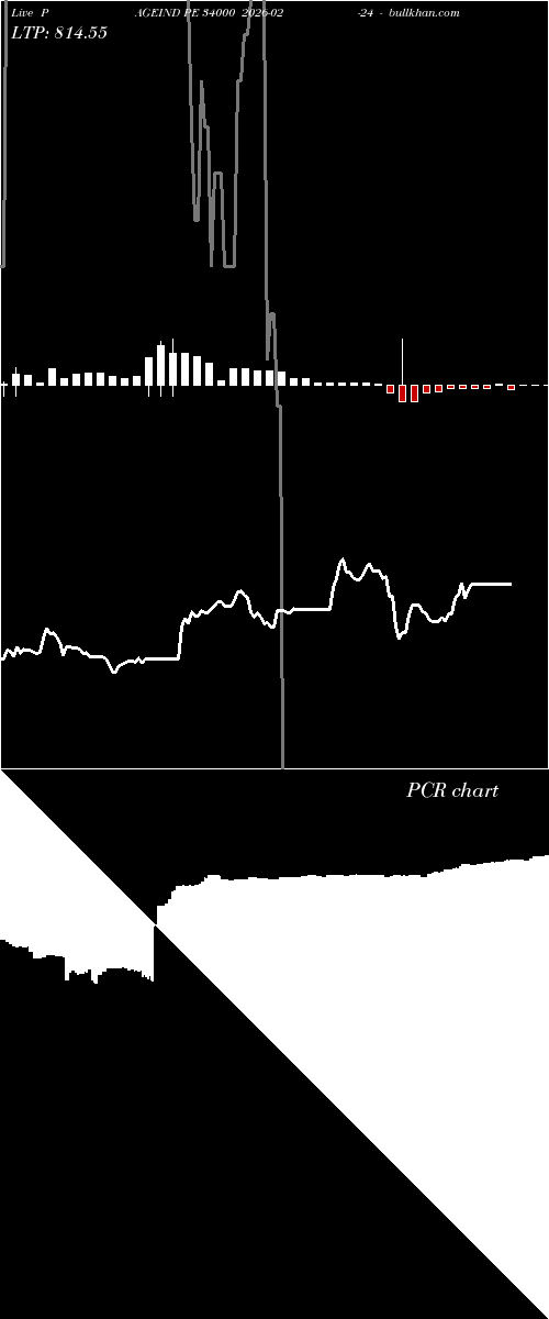  option chart PAGEIND PE 34000 2026-02-24 