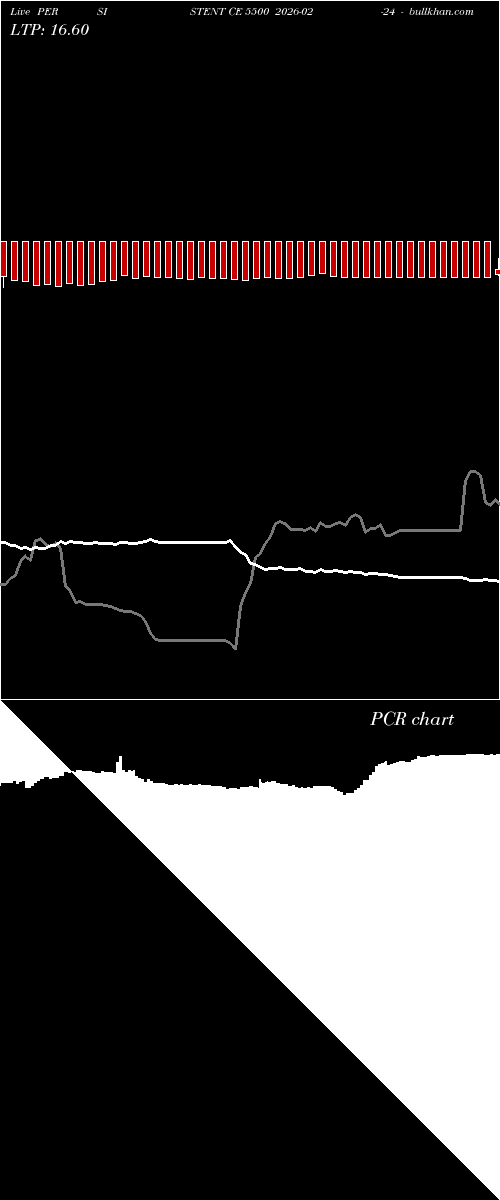  option chart PERSISTENT CE 5500 2026-02-24 
