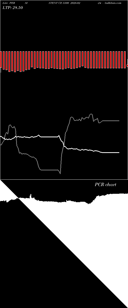  option chart PERSISTENT CE 5500 2026-02-24 