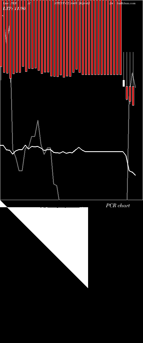  option chart PERSISTENT CE 5800 2026-02-24 