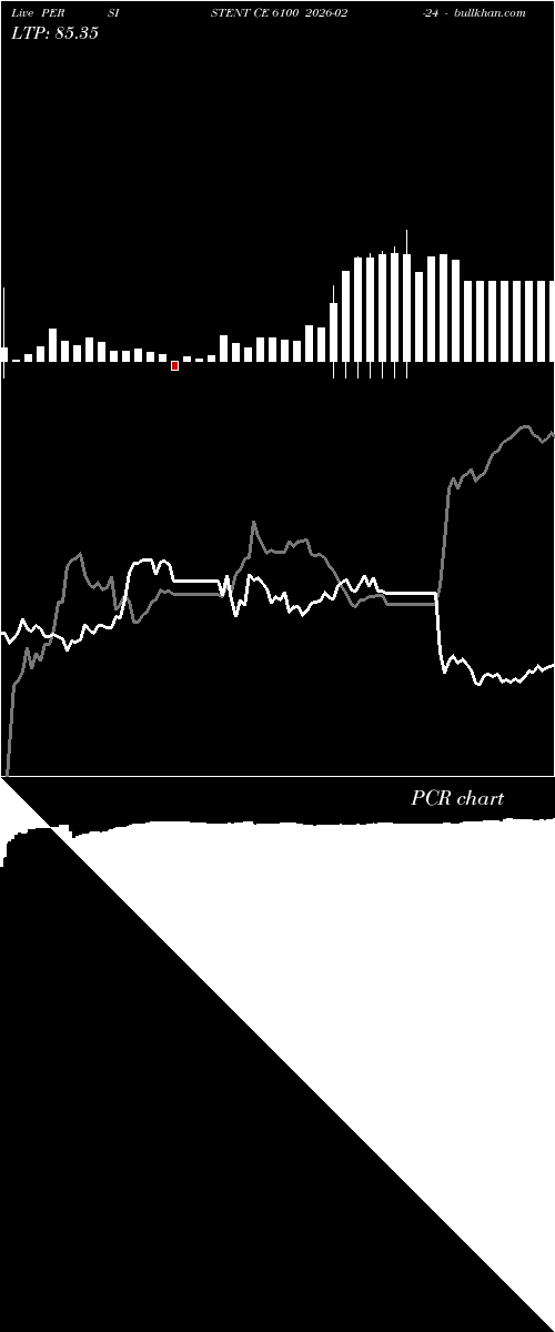  option chart PERSISTENT CE 6100 2026-02-24 