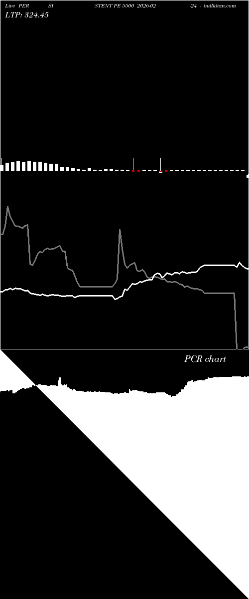  option chart PERSISTENT PE 5500 2026-02-24 