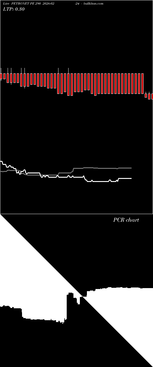  option chart PETRONET PE 290 2026-02-24 
