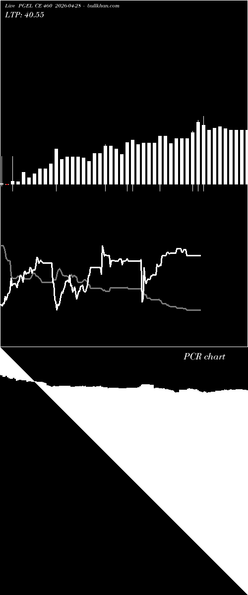  option chart PGEL CE 460 2026-04-28 